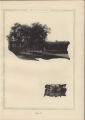 1921 Yearbook
