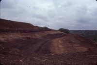 Newly constructed grassed, broad-based terraces on Bob Burnes' farm.