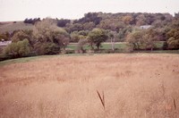 Lundquist farm pond and wildlife areas.