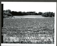 Erwin W. Cole Farm