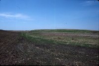 Sediment basin in a farm field.