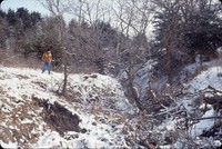 Winter gully.