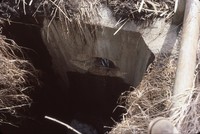Damaged drop inlet.