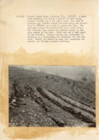 1937 - Ten men plant trees at woodland planting site