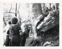 1971 Salter teachers at Crapo Park stand in front of Octopus tree