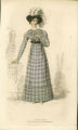 Walking Dress