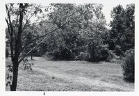 1977  Area before Robert Lane's Pond was built