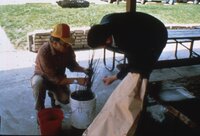 1987 Trees and grasses being planted
