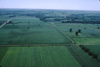 Wells Township, Section 19.