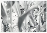 1978 No-till tours