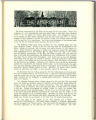 1913 Yearbook