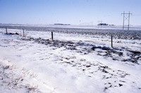 Snow in winter cover.