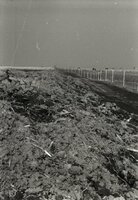 Muddy fields