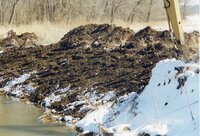 1999  Robert Yeager Flint Creek stream bank photos in early spring  before restoration 