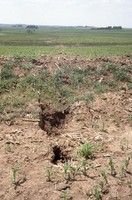 State Conservation Award given to Larry Knaack's farm property.  