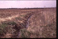 Waterway of the Hanson Farm.
