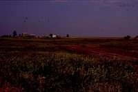 Restoration Project on Smokey Stover's Farm.