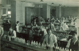Students working in a large laboratory, The University of Iowa, 1930s