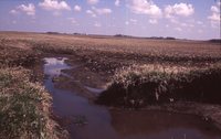 Waterway Construction on the Hummel Farm.