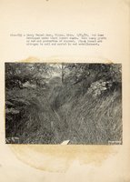 1934 - 1938 Multi-State Photograph Collection  