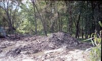 1993 flood and Flint River debris removal