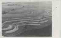 Contoured farmland belonging to Ed Kurtz