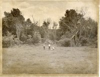 Big Wyacondah Watershed, site 14 A