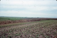 Residue contoured crops on the farm of Fred Conley.