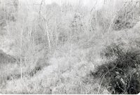 1979 Photograph Collection Of Fisk Ramp Site,