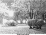 Ice storm on campus, The University of Iowa, between 1925 and 1930