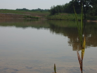 2007 Jack Strawhacker photos of ponds