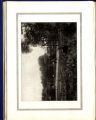 1914 Yearbook