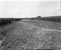 Views of Pasture and Grasslands