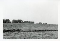 1980s - Results of too much rain