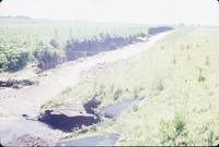 Gully erosion.