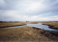 2002   Completed wetland program on Charles Poisel Property