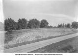 Kansan section showing Peorian loess on Kansan gumbotil, oxidized and leached till, ox, and unleached till, Oregon Township, Iowa, August 1933