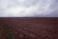 Erosion on the Staab farm in Cherokee County, Iowa. 