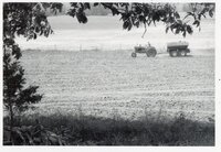 1978 Man on tractor with wagon plants seed