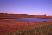 Water Basin and Pond on J. Ashland's Farm.