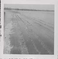 Flooded fields.