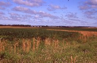 Waterway Construction on the Hummel Farm.