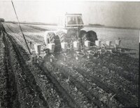 Planting seeds
