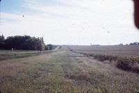 Grassed headland on the Peters-Schueder farm.