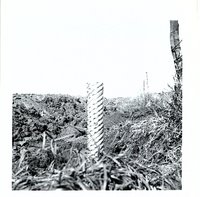 Ward Patterson farmland