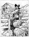 Almost sheep shearing time and a bow-legged gentleman at the gate.