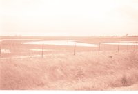 Fenced farmland with Water in the Field
