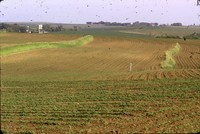 Tile inlet terraces on the Duncan farm.