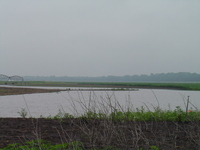 2007 Jack Strawkhacker photos of flooded fields