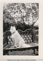 Denise on bench